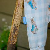 {{ad5d3d3e873a0c84b622a573886c25fa62}}}}}قفزة بيتر القطني