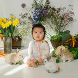 ZIPSTER™ Predložak