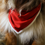 Dog Bib Red Heritage Pet Bandana