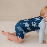 سلاحف سويمستر