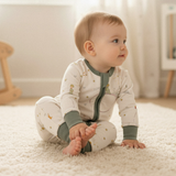 ZIPSTER™ Asteroide Pequeño Príncipe B-612