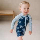 سلاحف سويمستر