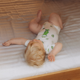 Body Janosch Günter