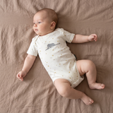 Body « Le Petit Prince et l'éléphant »